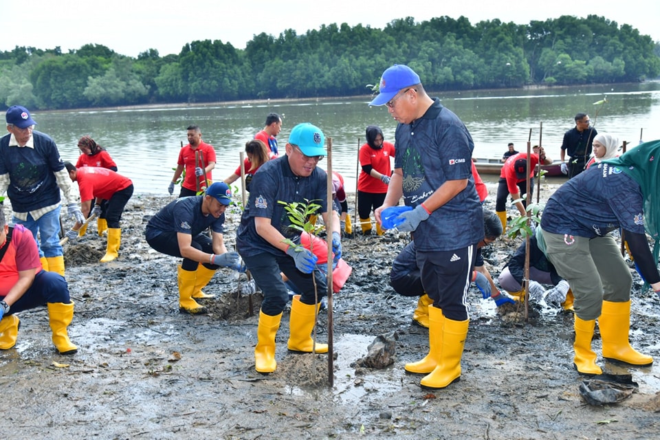 Penanaman Pokok Bakau